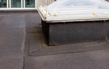 disadvantages of Alfardisworthy flat roofs