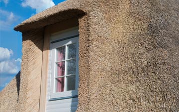 Alfardisworthy thatch roof disadvantages
